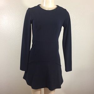 Zara Long Sleeve Blue Dress